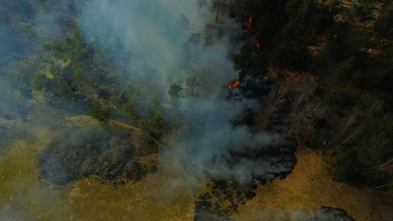 Cloud Ground Control in Full Flight: Combating Bushfires With Drones